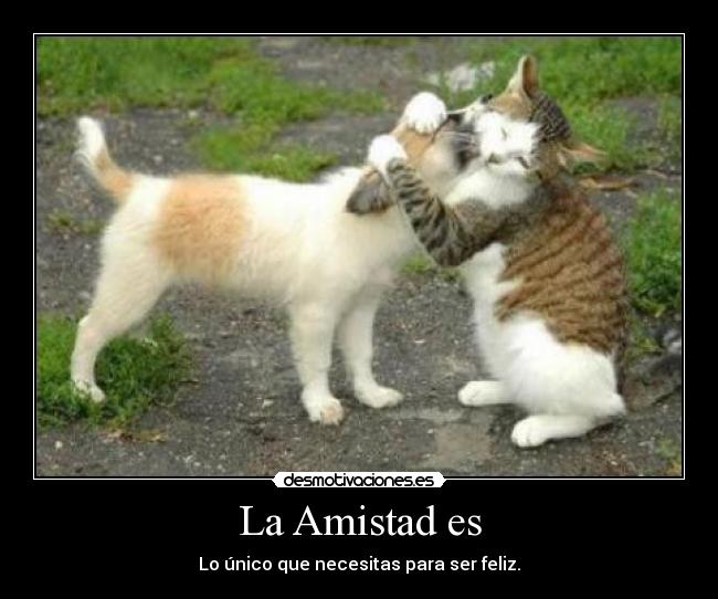 La Amistad es - Lo único que necesitas para ser feliz.