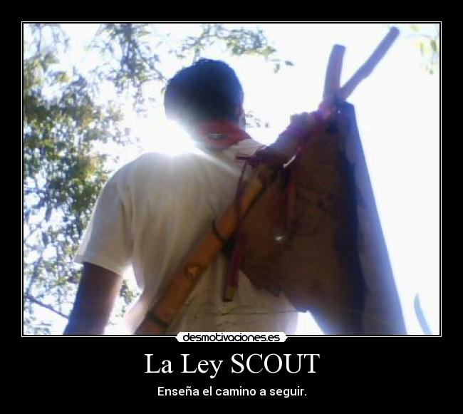 La Ley SCOUT - 