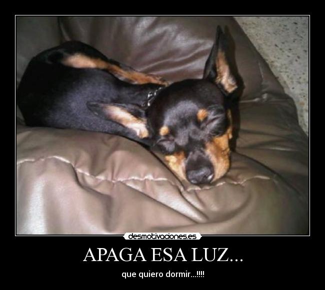 APAGA ESA LUZ... - que quiero dormir...!!!!