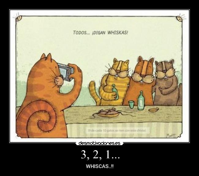 3, 2, 1... - WHISCAS..!!