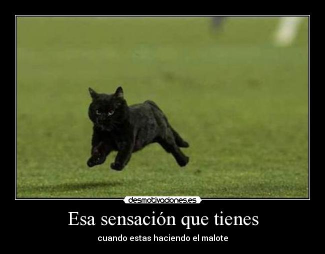 carteles preguntas que haces esta vida que tienen respuestas pero jodas desmotivaciones