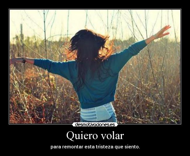 Quiero volar -