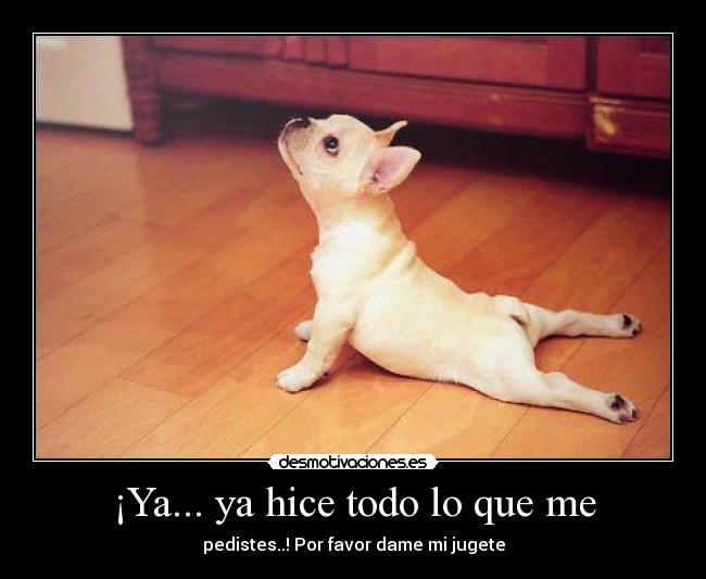 ¡Ya... ya hice todo lo que me - 