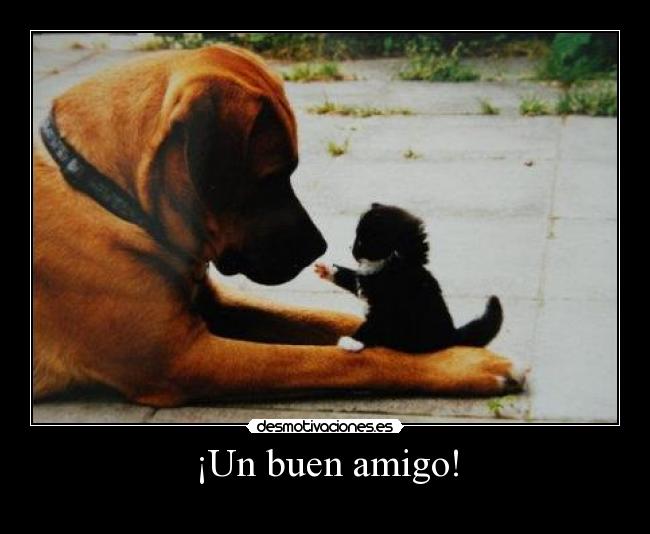 ¡Un buen amigo! -