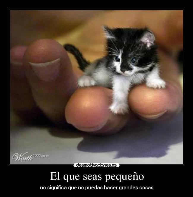 El que seas pequeño - no significa que no puedas hacer grandes cosas