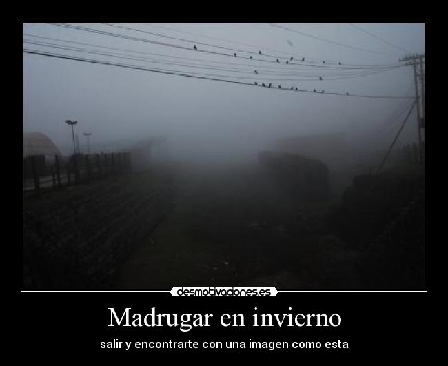 carteles summer yeah desmotivaciones