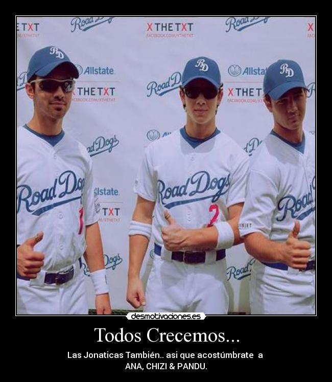 carteles jonas brothers desmotivaciones