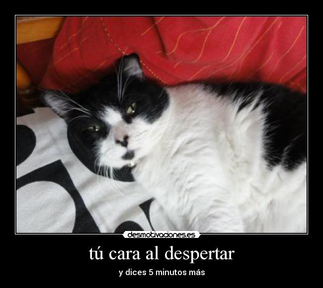 tú cara al despertar - y dices 5 minutos más
