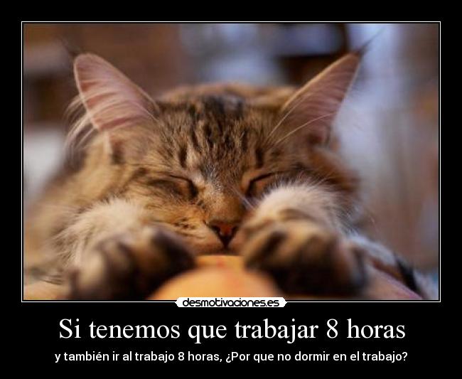 carteles zzz zzz desmotivaciones