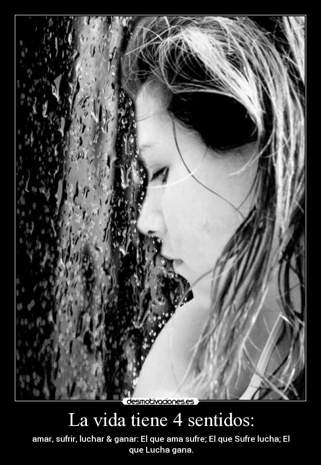 La vida tiene 4 sentidos: -