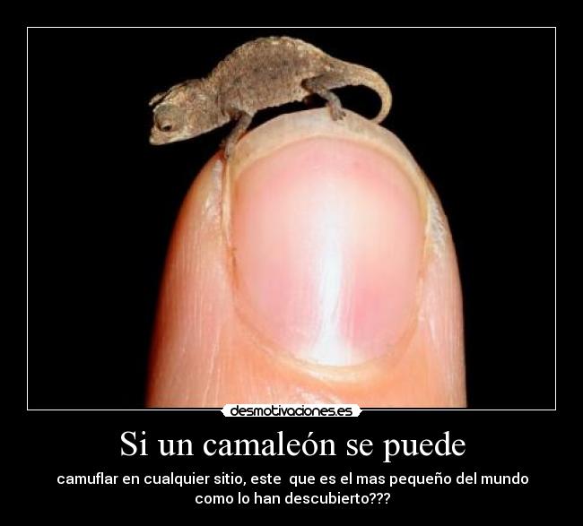 carteles desmotivaciones