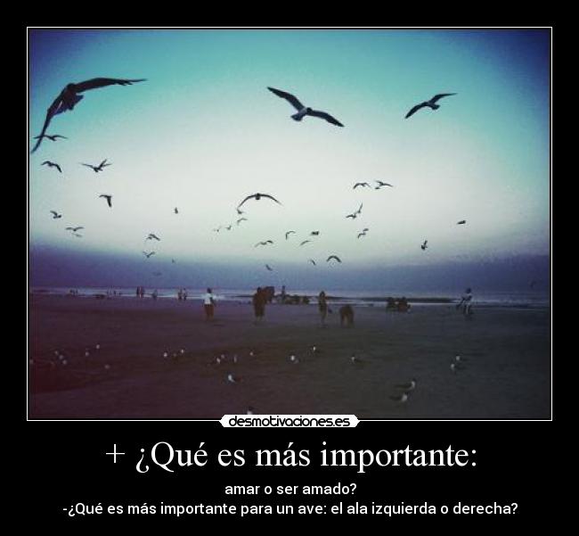 + ¿Qué es más importante: - 