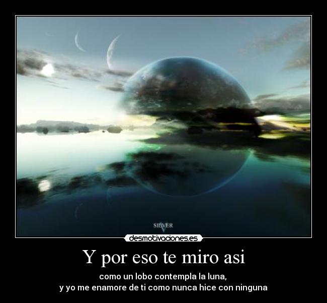 Y por eso te miro asi - como un lobo contempla la luna,
y yo me enamore de ti como nunca hice con ninguna