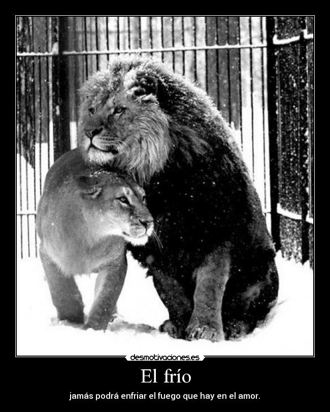 El frío -