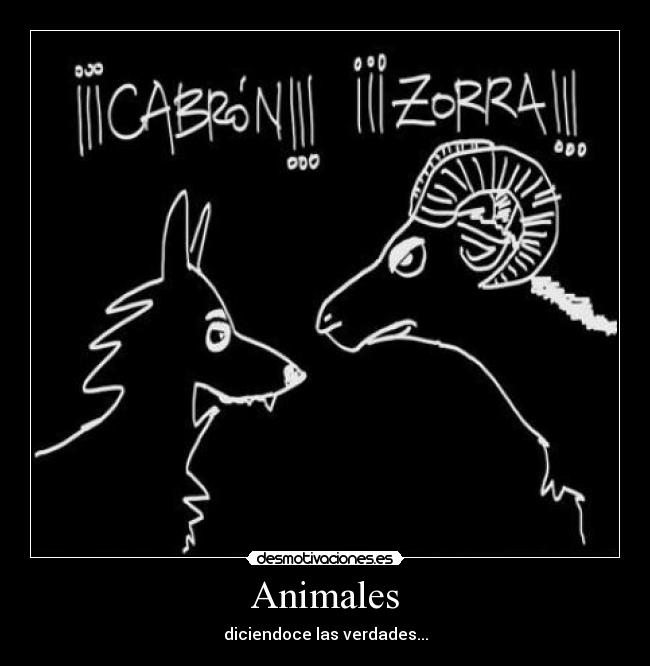 Animales - diciendoce las verdades...