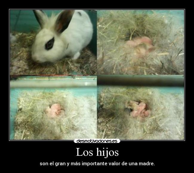 Los hijos - son el gran y más importante valor de una madre.