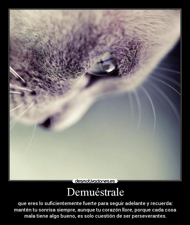 Demuéstrale -