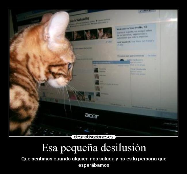 Esa pequeña desilusión - Que sentimos cuando alguien nos saluda y no es la persona que esperábamos