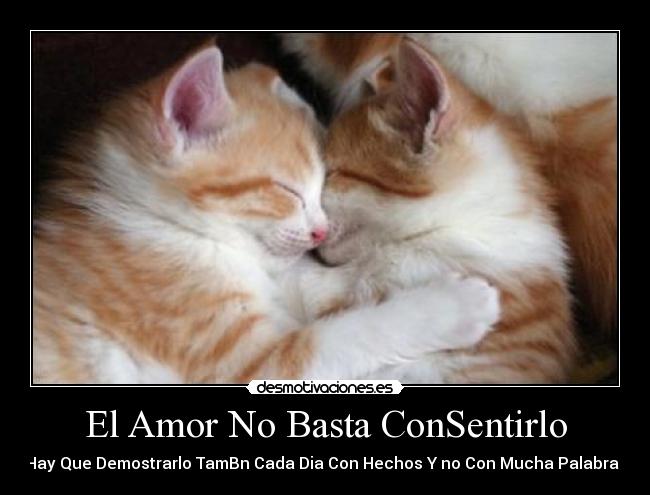 El Amor No Basta ConSentirlo -