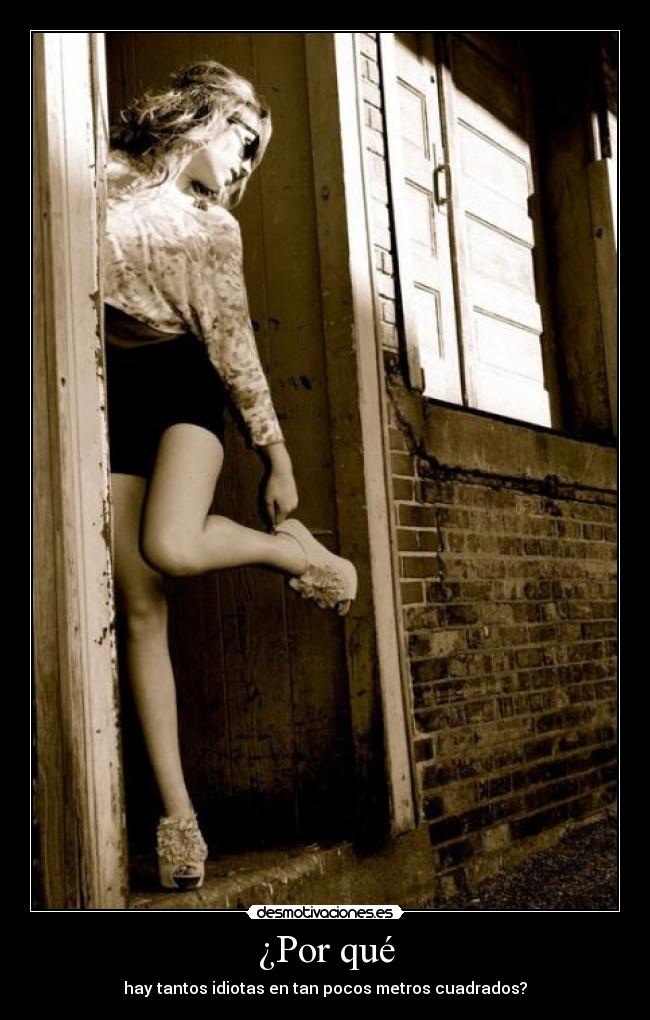 ¿Por qué - hay tantos idiotas en tan pocos metros cuadrados?