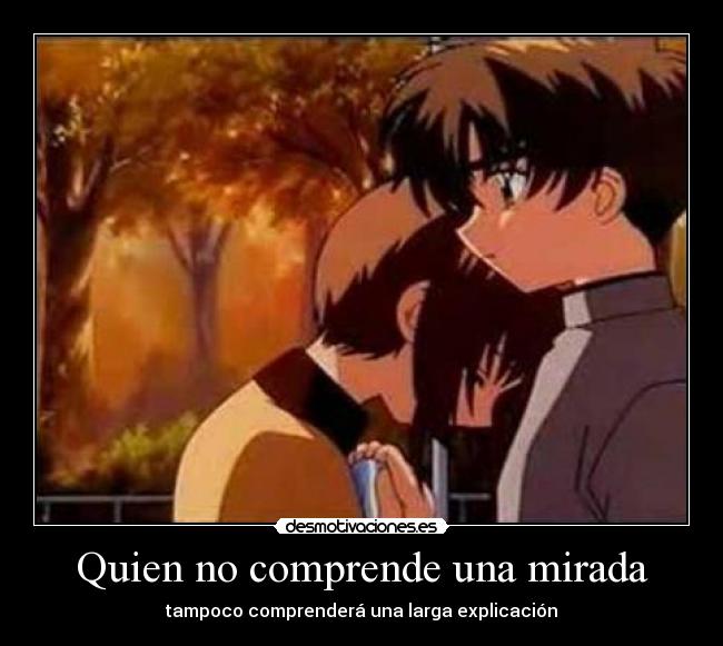 Quien no comprende una mirada - 
