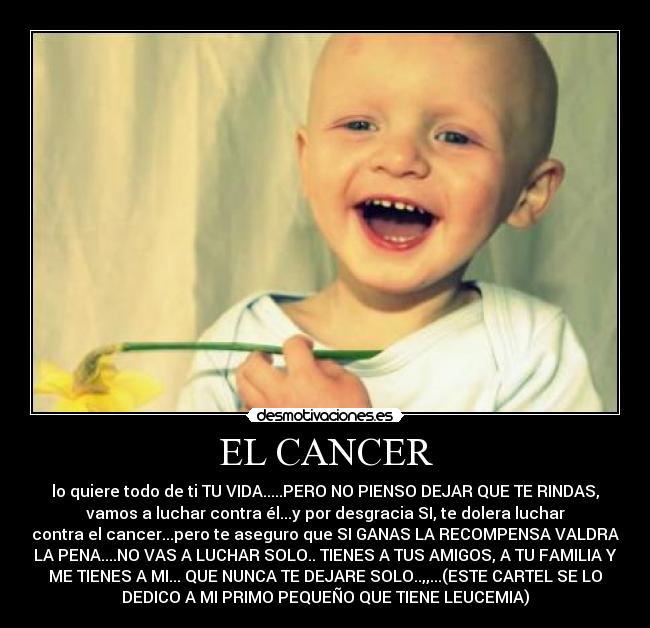 EL CANCER - lo quiere todo de ti TU VIDA.....PERO NO PIENSO DEJAR QUE TE RINDAS,
vamos a luchar contra él...y por desgracia SI, te dolera luchar
contra el cancer...pero te aseguro que SI GANAS LA RECOMPENSA VALDRA
LA PENA....NO VAS A LUCHAR SOLO.. TIENES A TUS AMIGOS, A TU FAMILIA Y
ME TIENES A MI... QUE NUNCA TE DEJARE SOLO..,,...(ESTE CARTEL SE LO
DEDICO A MI PRIMO PEQUEÑO QUE TIENE LEUCEMIA)