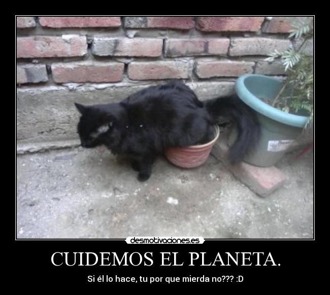 CUIDEMOS EL PLANETA. - Si él lo hace, tu por que mierda no??? :D