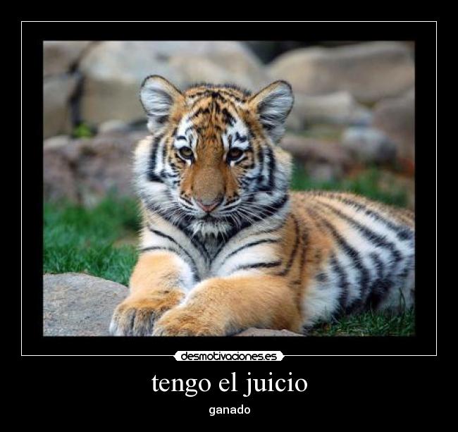 tengo el juicio -