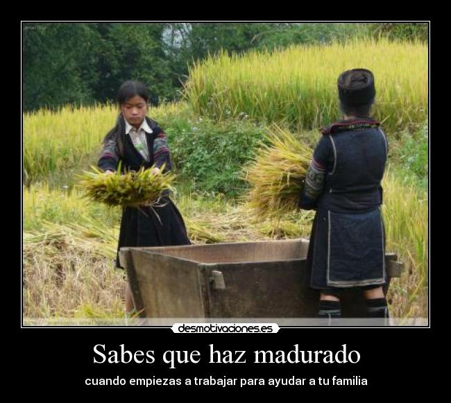 Sabes que haz madurado - cuando empiezas a trabajar para ayudar a tu familia