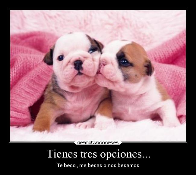 Tienes tres opciones... - 