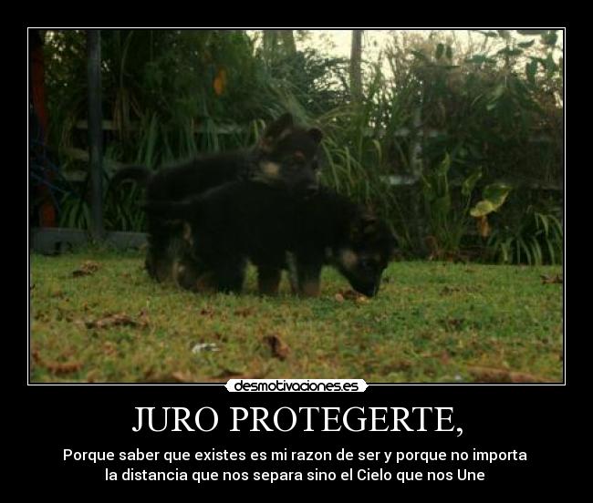JURO PROTEGERTE, - Porque saber que existes es mi razon de ser y porque no importa
la distancia que nos separa sino el Cielo que nos Une