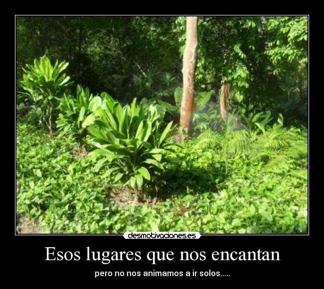 Esos lugares que nos encantan - 