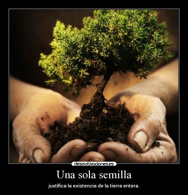 Una sola semilla - 