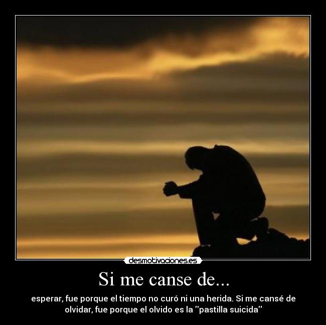 Si me canse de... -