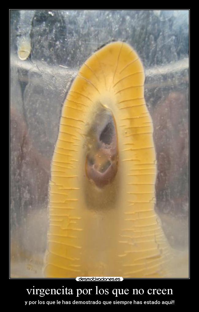 carteles nevada344 desmotivaciones