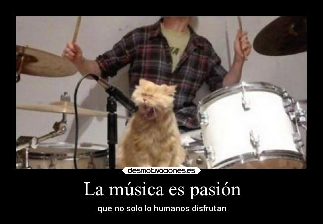 La música es pasión -