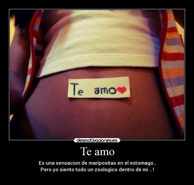 Te amo - Es una sensacion de maripositas en el estomago ,
Pero yo siento todo un zoologico dentro de mi .. !
♥