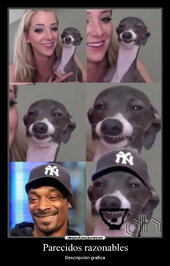 Parecidos razonables - Descripción grafica