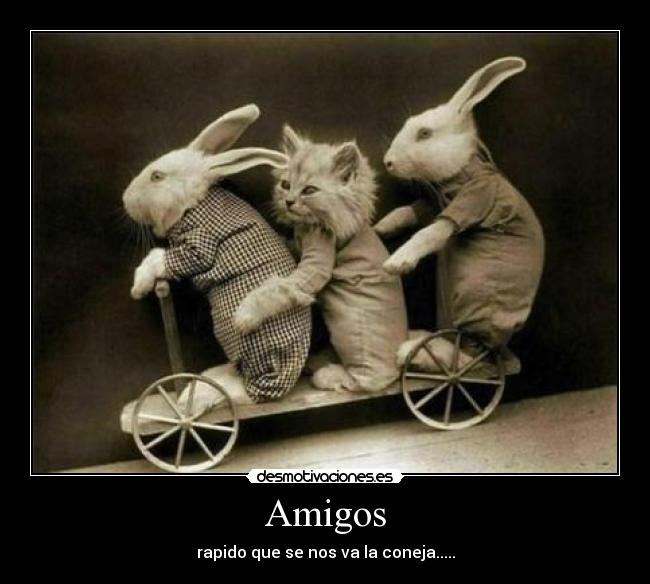 Amigos - 