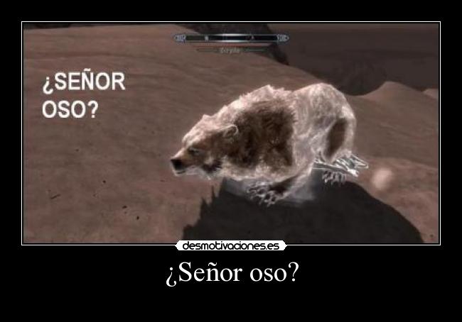 ¿Señor oso? - 