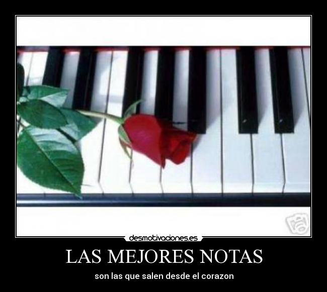 LAS MEJORES NOTAS - son las que salen desde el corazon