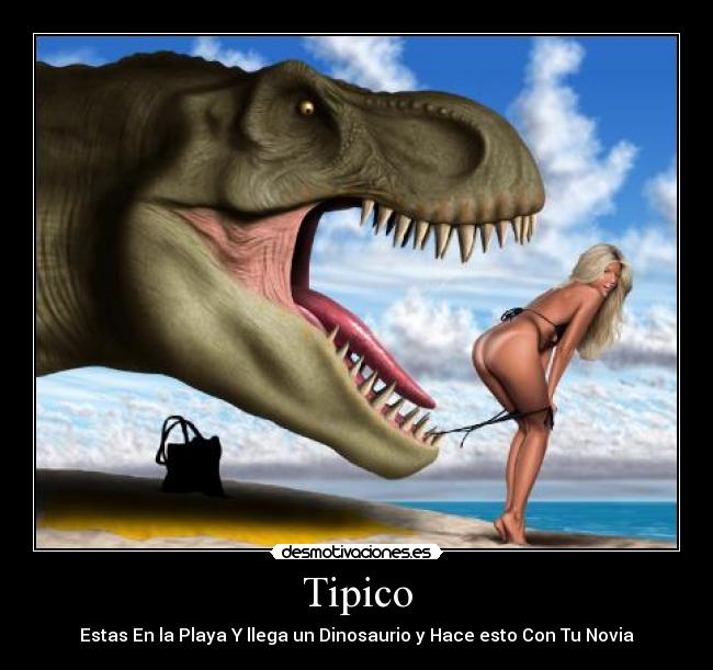 Tipico - 