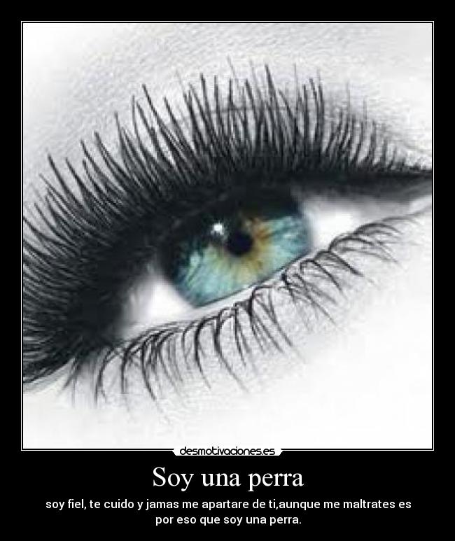 Soy una perra - soy fiel, te cuido y jamas me apartare de ti,aunque me maltrates es
por eso que soy una perra.