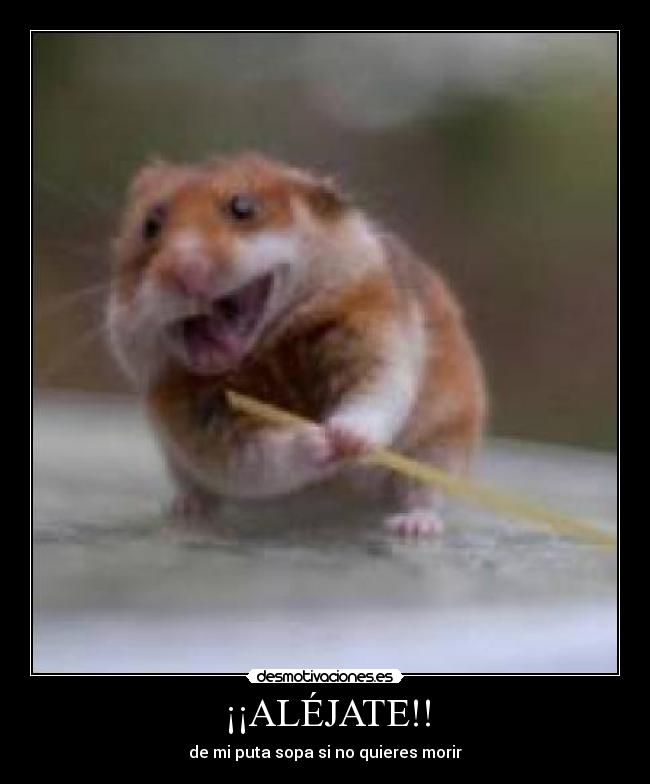 ¡¡ALÉJATE!! - de mi puta sopa si no quieres morir