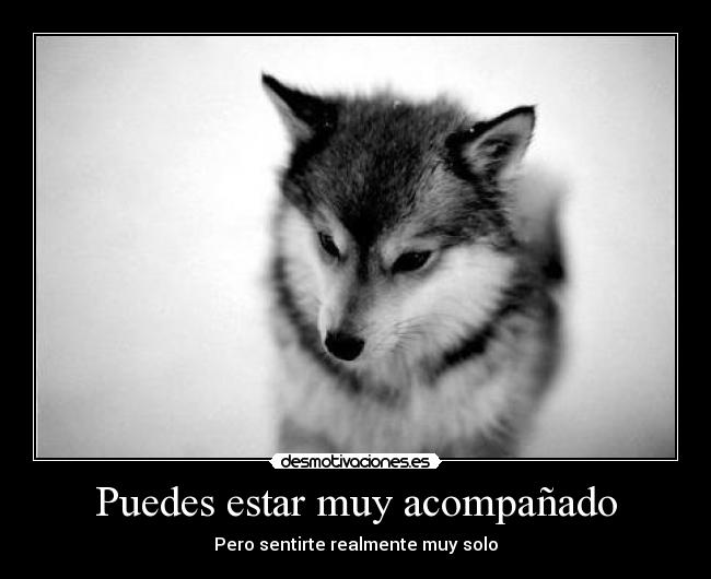 Puedes estar muy acompañado - 