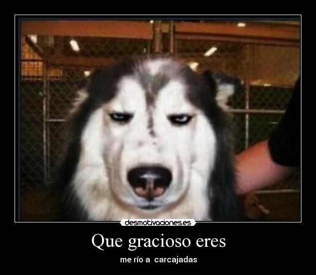 Que gracioso eres -