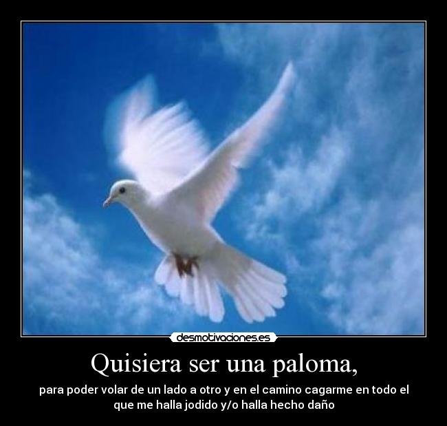 Quisiera ser una paloma, - para poder volar de un lado a otro y en el camino cagarme en todo el
que me halla jodido y/o halla hecho daño