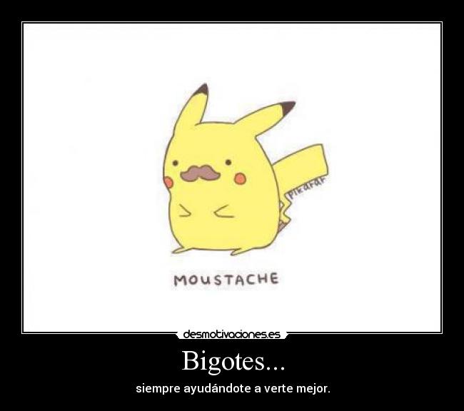 Bigotes... - siempre ayudándote a verte mejor.