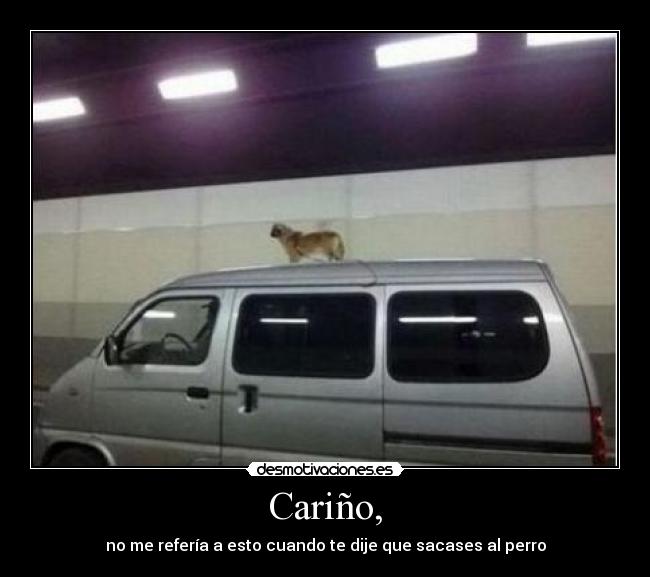 Cariño, - no me refería a esto cuando te dije que sacases al perro