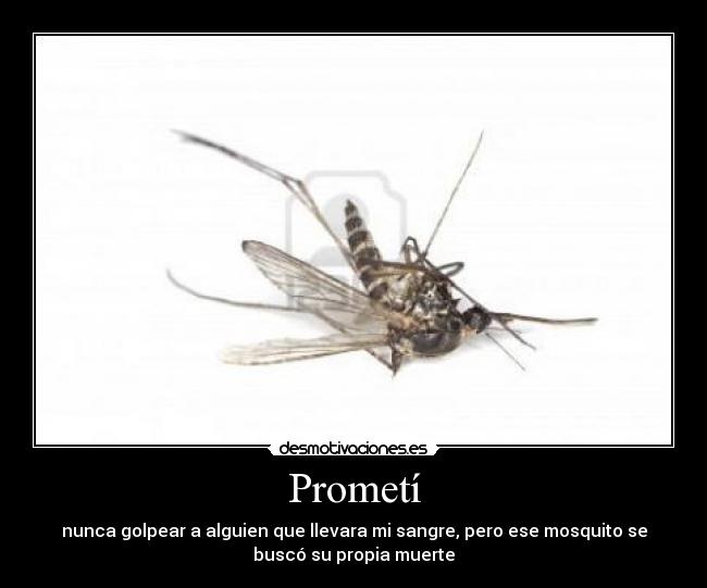 Prometí - nunca golpear a alguien que llevara mi sangre, pero ese mosquito se
buscó su propia muerte